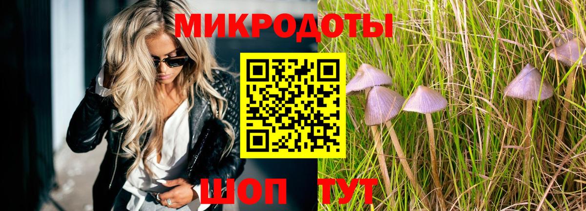 Галлюциногенные грибы Magic Shrooms Великий Новгород
